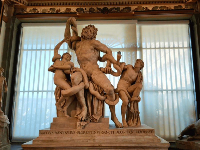 Laooconte alla Galleria degli Uffizi, Dolere e angoscia sui volti dei figli