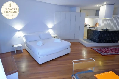 Open space con letto e cucina a vista