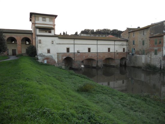 Le Padule di Fucecchio