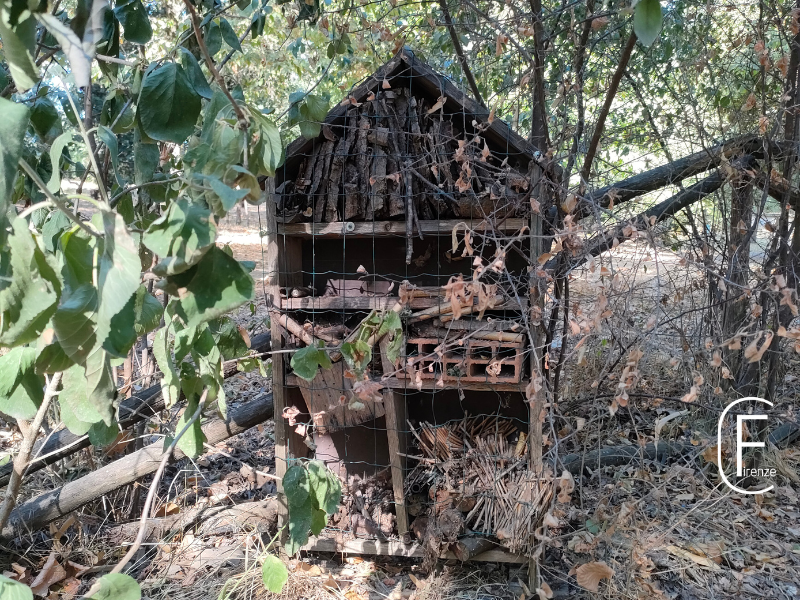 Hotel degli insetti al Parco delle Cascine in difesa della biodiversitÃ