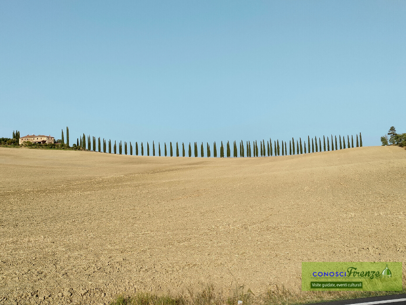 InTerra di Siena le Colline toscane con i Calanchi