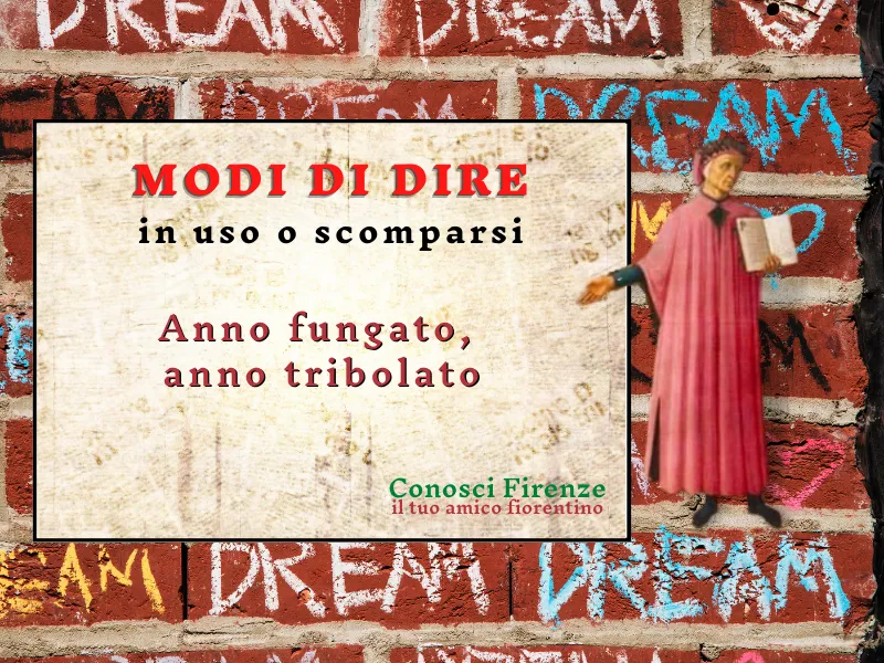 Anno fungato, anno tribolato