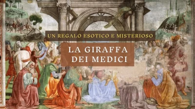 La giraffa dei Medici