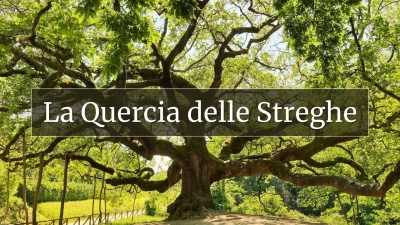 La Quercia delle Streghe