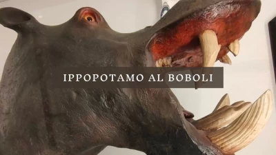 Ippopotamo al Boboli