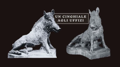 Un Cinghiale agli Uffizi
