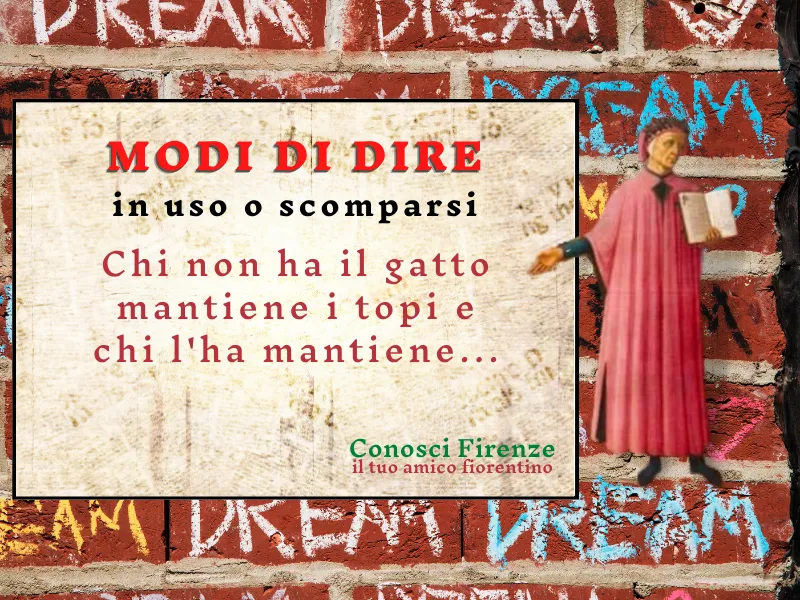 Chi non ha il gatto...